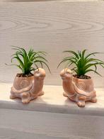 Schildpad bloempotten set, Ophalen, Overige vormen, Aardewerk, Binnen