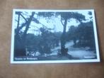 DRIEBERGEN  >  STUIFDUINEN, Verzenden, 1940 tot 1960, Ongelopen, Utrecht