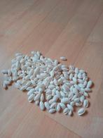 Decoratieve schelpjes schelpen, Ophalen of Verzenden, Zo goed als nieuw, Overige kleuren, Minder dan 50 cm