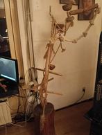 Te koop, Mannelijk, Papegaai