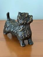 Schotse terrier Echt brons De Bronzenbeelden-winkel, Nieuw, Ophalen