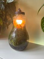 Terrarium lamp, Huis en Inrichting, Ophalen, Zo goed als nieuw