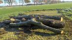 Eiken stamhout, Tuin en Terras, Haardhout, 3 tot 6 m³, Ophalen, Eikenhout, Stammen