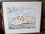 originele Aquarel Bep van Os hond jachthond ingelijst., Antiek en Kunst, Ophalen