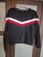 Tommy Hilfiger dames trui M, Maat 38/40 (M), Blauw, Ophalen of Verzenden, Zo goed als nieuw