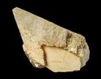 Groot solitair CALCIET kristal uit België., Ophalen of Verzenden, Mineraal
