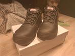 Nieuw werkschoenen te koop, Ophalen of Verzenden, Nieuw
