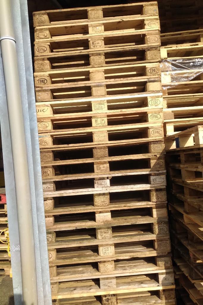 Pallets hout en kunststof, Zakelijke goederen, Overige Zakelijke goederen, Ophalen of Verzenden