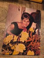 Conny Froboess, Verzamelen, Verzenden, 1960 tot 1980, Ongelopen, Sterren en Beroemdheden