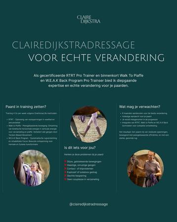 Professionele paardentraining - voor paarden die vastlopen beschikbaar voor biedingen
