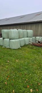 Midibalen 2025 onkruid vrij, Dieren en Toebehoren, Dierenvoeding, Ophalen, Vee