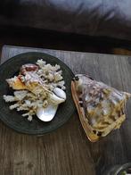 Decoratieve Schelpen en Koraal op Schaal, Huis en Inrichting, Ophalen, Zo goed als nieuw