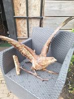 Taxidermie Buizerd met open vleugels, Verzenden, Zo goed als nieuw, Insect, Opgezet dier