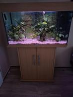 140 liter, Dieren en Toebehoren, Vissen | Aquaria en Toebehoren, Ophalen of Verzenden, Gebruikt, Leeg aquarium