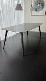 tafel, Huis en Inrichting, Tafels | Eettafels, Ophalen, Gebruikt, 200 cm of meer, 50 tot 100 cm