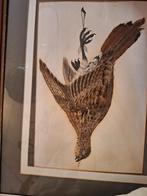 fazant van veren in lijst, Minder dan 50 cm, Gebruikt, Ophalen of Verzenden