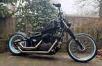 Custom RVS uitlaat VT600, Motoren, Ophalen of Verzenden, Gebruikt