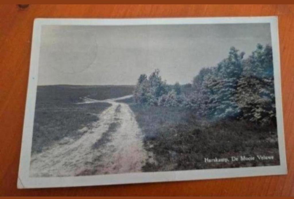 Oude Ansichtkaart Harskamp, Veluwe, Ophalen of Verzenden