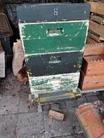 Kunstof bijenkasten, Bijen