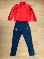 Adidas Bayern Minchen pak M, Maat 48/50 (M), Ophalen of Verzenden, Zo goed als nieuw, Adidas