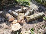 Gratis haardhout stookhout brandhout Zilversparhout, Minder dan 3 m³, Ophalen, Overige houtsoorten, Blokken