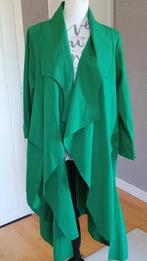 Trenchcoat groen 46/48, Kleding | Dames, Ophalen of Verzenden, Nieuw, Maat 46/48 (XL) of groter, Groen