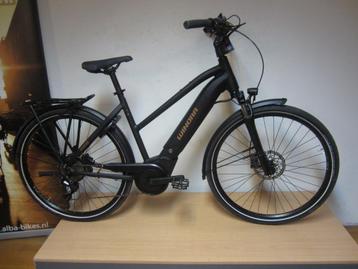 Sportieve elektrische fiets met Bosch Performance  Nieuw beschikbaar voor biedingen