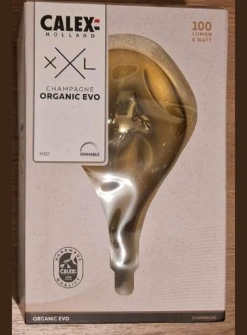 Calex XXL champagne Organic EVO Lamp – E27, 6W, 100 lumen
 beschikbaar voor biedingen