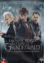 Fantastic Beasts : The Crimes Of Grindelwald, Vanaf 9 jaar, Ophalen of Verzenden, Zo goed als nieuw, Fantasy
