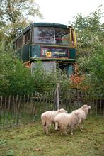 Unieke Engelse dubbeldekker oldtimer tinyhouse zonnepanelen, Ophalen, Gebruikt