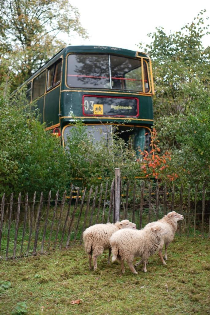 Unieke Engelse dubbeldekker oldtimer tinyhouse zonnepanelen, Doe-het-zelf en Verbouw, Overige Doe-het-zelf en Verbouw, Gebruikt