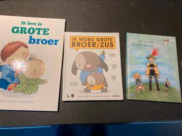 Grote broer/ grote zus beschikbaar voor biedingen