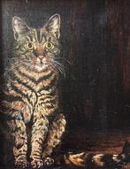 Schilderij Kat Poes Cypers Gesigneerd, Minder dan 50 cm, Gebruikt, Oorspronkelijke maker, Ophalen of Verzenden