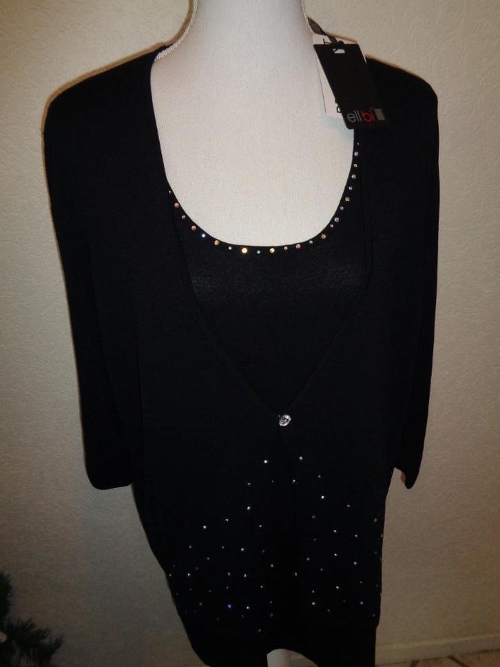 Elbi nieuw maat 46  oksel tot oksel 65 cm, Kleding | Dames, Grote Maten, Nieuw, Blouse of Tuniek, Zwart, Ophalen of Verzenden