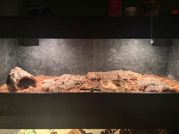 Mooi terrarium beschikbaar voor biedingen