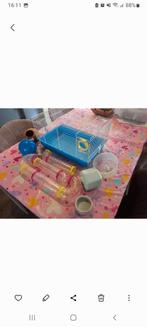 Als nieuw hamsterkooi met allerlei toebehoren, Dieren en Toebehoren, Minder dan 60 cm, Kooi, Minder dan 75 cm, Ophalen of Verzenden