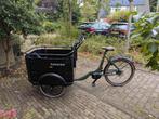 Keewee Cargo Bike 470 Wh Green, Ophalen, Nieuw, 4 kinderen of meer, Huif