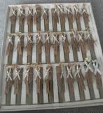 Henna bedankje, Hobby en Vrije tijd, Ophalen of Verzenden, Nieuw, Overige typen, Geboorte of Huwelijk