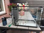 60 liter aquarium met filter/thermostaat/verlichting, Dieren en Toebehoren, Vissen | Aquaria en Toebehoren, Ophalen, Zo goed als nieuw