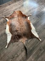 Prachtige Nieuwe Blesbok Huiden Vachten Taxidermie, Ophalen of Verzenden, Nieuw, Wild dier, Opgezet dier
