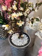 Leukste vazen met magnolia bloesem witte steentjes, Minder dan 50 cm, Nieuw, Ophalen of Verzenden, Wit