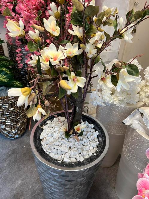 Leukste vazen met magnolia bloesem witte steentjes, Huis en Inrichting, Woonaccessoires | Vazen, Nieuw, Wit, Minder dan 50 cm