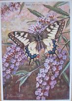 voor het kind - koninginnepage op Budleya - 1959 - nieuw, Verzenden, 1940 tot 1960, Ongelopen, Overige thema's