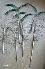 Nieuw 7 stuks pauwen zwaard veren, Ophalen, Nieuw