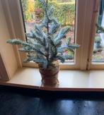 Spar Boompje Tree Decoratie Nieuw Ophalen…., Ophalen, Nieuw