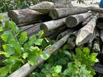 Boompalen, Tuin en Terras, Palen, Balken en Planken, Ophalen, Gebruikt, 180 tot 250 cm, Palen