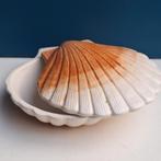 Michel Caugant terrine, coquille, Ophalen of Verzenden
