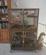 Little zoo venturer kooi, Dieren en Toebehoren, Ophalen, Kooi, Rat, 90 cm of meer