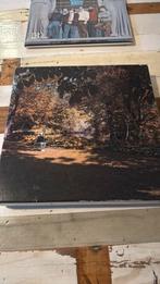 Spinvis - 7.6.9.6 LP Box deluxe editie, Cd's en Dvd's, Ophalen of Verzenden, 2000 tot heden, Zo goed als nieuw, 12 inch