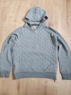 Grijze hoodie Brian & Nephew 152 jongen, Kinderen en Baby's, Kinderkleding | Maat 152, Ophalen of Verzenden, Brian & Nephew, Jongen